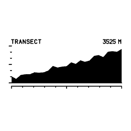 Elevation profile 06