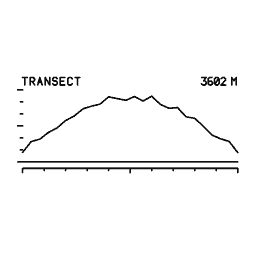 Elevation profile 10