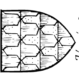 Shield with vair 01