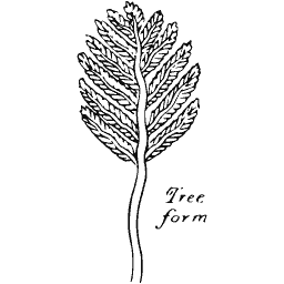 Stylised tree form