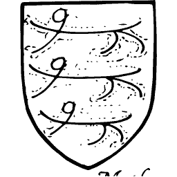 Shield with three hooks