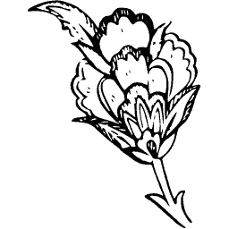 Stylised tulip bloom