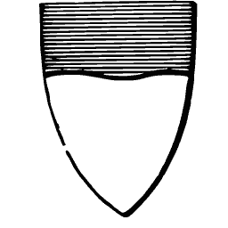 Chief shield