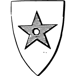 Pierced star shield