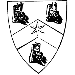 Star and charges shield