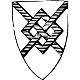 Fret shield