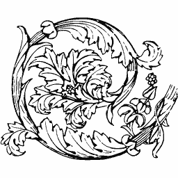 Acanthus scroll