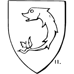 Dolphin shield