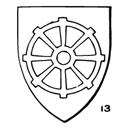 Wheel shield