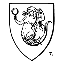 Mermaid shield