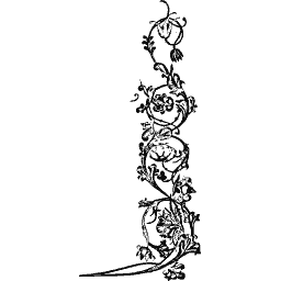 Illuminated vine initial plate 01