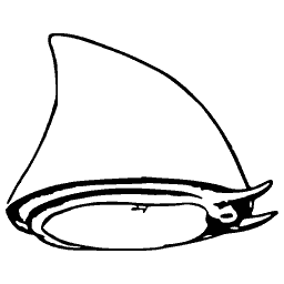Cap shell