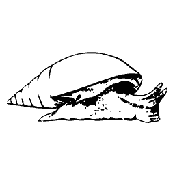 Snail withdrawing into its shell