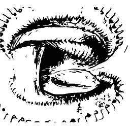 Scallop with a spined fringe