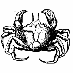 Crab 12