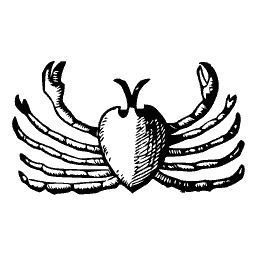 Crab 13