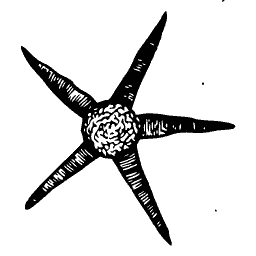 Starfish 01