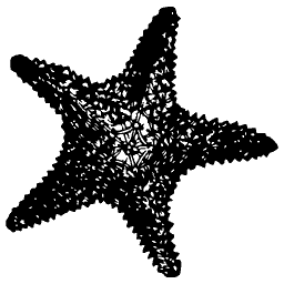 Starfish 04