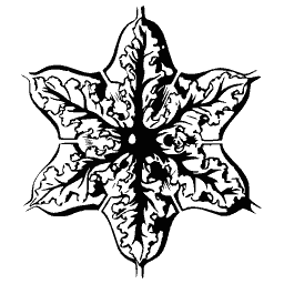 Six-rayed sea creature