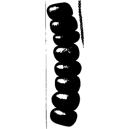 Chain of oval segments