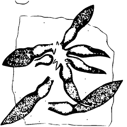 Spreading pointed blades