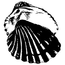 Ribbed cockle shell - Elements of Conchology - 1860