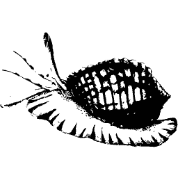 Shell with the animal out - Elements of Conchology - 1860