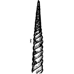 Tapered rope end