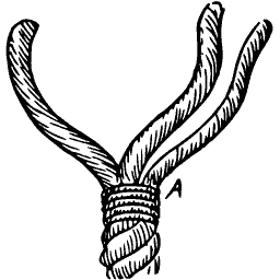 Forked rope splice