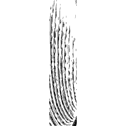 Tube shell 01