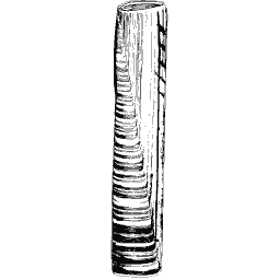 Ribbed tube shell 03 - General Conchology - 1835