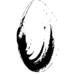 Bivalve shell outline 01