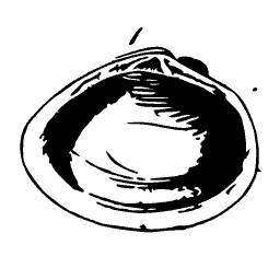 Bivalve interior - General Conchology - 1835