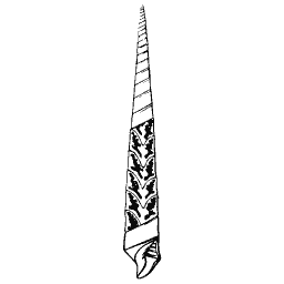 Tusk shell