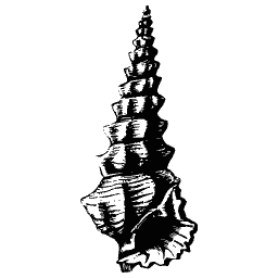 Tall turret shell 01