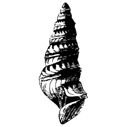 Turret shell 01
