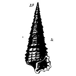 Tall turret shell 02