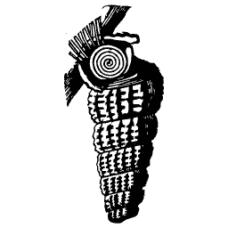 Ribbed spire shell 02