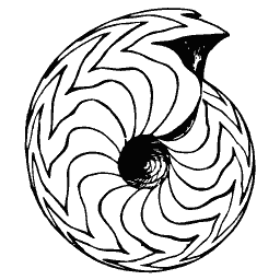 Nautilus section