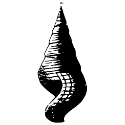 Curved auger shell