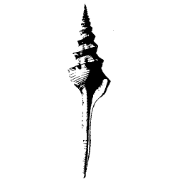 Slim spindle shell