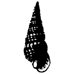 Turret shell 02