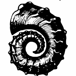 Coiled ribbed shell