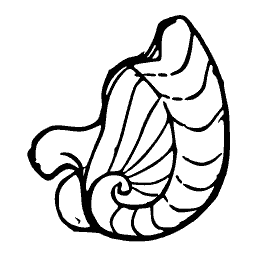 Coiled ribbed shell outline 01