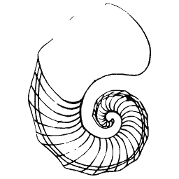 Coiled shell outline 01