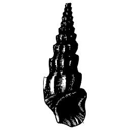 Turret shell 03