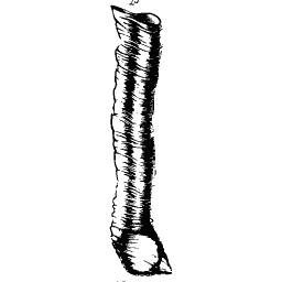 Worm shell tube