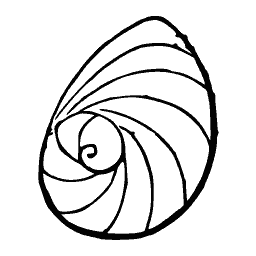 Coiled shell outline 02