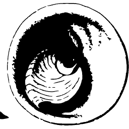 Smooth coiled shell