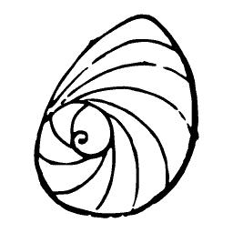 Coiled shell outline 04